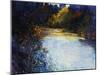 Glimmering Riverside-Tim O'toole-Mounted Giclee Print