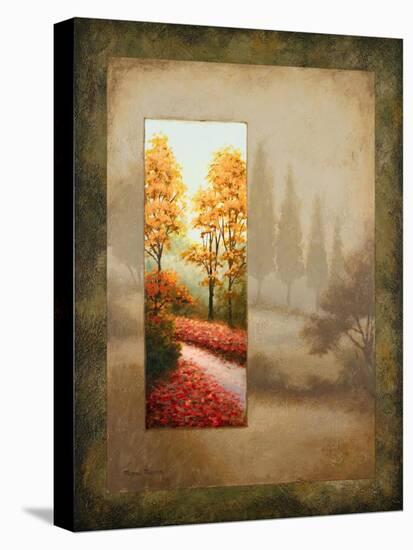 Glimpse I-Michael Marcon-Stretched Canvas