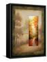 Glimpse II-Michael Marcon-Framed Stretched Canvas