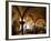 Glimpse of Crypt, Cathedral of Santa Maria Assunta, Parma, Italy, 11th-12th Century-null-Framed Giclee Print