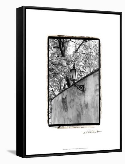 Glimpses of Prague IV-Laura Denardo-Framed Stretched Canvas