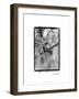 Glimpses of Prague IV-Laura Denardo-Framed Art Print