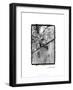 Glimpses of Prague IV-Laura Denardo-Framed Art Print