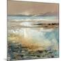 Glistening Beach-Anne Farrall Doyle-Mounted Giclee Print