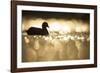 Glistening Glide-Staffan Widstrand-Framed Giclee Print