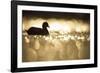 Glistening Glide-Staffan Widstrand-Framed Giclee Print