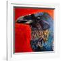 Glistening Raven-Melissa Symons-Framed Art Print