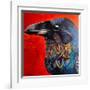 Glistening Raven-Melissa Symons-Framed Art Print