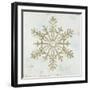 Glistening Snowflake III-PI Studio-Framed Art Print