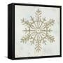 Glistening Snowflake III-PI Studio-Framed Stretched Canvas