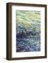 Glistening Tide Over Rocks-Margaret Juul-Framed Art Print