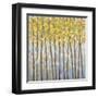 Glistening Tree Tops-Libby Smart-Framed Art Print