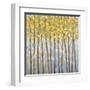 Glistening Tree Tops-Libby Smart-Framed Art Print