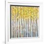 Glistening Tree Tops-Libby Smart-Framed Giclee Print