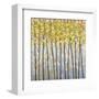 Glistening Tree Tops-Libby Smart-Framed Art Print