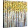 Glistening Tree Tops-Libby Smart-Stretched Canvas