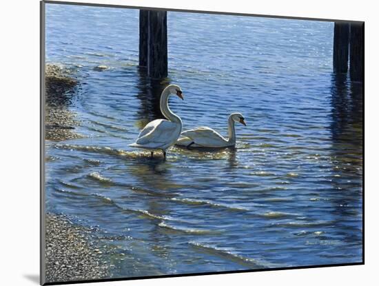Glistening Water Swans-Bruce Dumas-Mounted Giclee Print