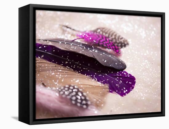 Glitter Feathers-Sonia Quintero-Framed Stretched Canvas