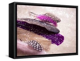 Glitter Feathers-Sonia Quintero-Framed Stretched Canvas