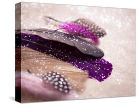 Glitter Feathers-Sonia Quintero-Stretched Canvas