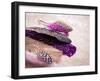 Glitter Feathers-Sonia Quintero-Framed Art Print