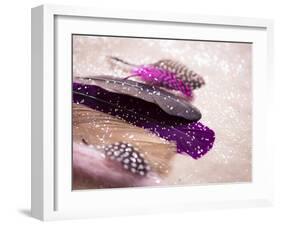 Glitter Feathers-Sonia Quintero-Framed Art Print