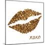 Glitter Lips Sq I-N. Harbick-Mounted Art Print