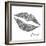 Glitter Lips Sq II-N. Harbick-Framed Art Print