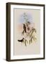 Glittering Emerald, Chlorostilbon Phaethon-John Gould-Framed Giclee Print