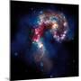 Glittering Galaxy-Wild Apple Portfolio-Mounted Art Print