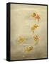 Glittering Goldfish-Peggy Harris-Framed Stretched Canvas