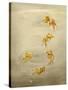 Glittering Goldfish-Peggy Harris-Stretched Canvas