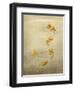 Glittering Goldfish-Peggy Harris-Framed Giclee Print