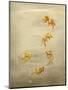 Glittering Goldfish-Peggy Harris-Mounted Giclee Print