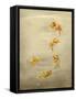 Glittering Goldfish-Peggy Harris-Framed Stretched Canvas