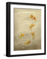 Glittering Goldfish-Peggy Harris-Framed Giclee Print