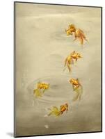 Glittering Goldfish-Peggy Harris-Mounted Giclee Print