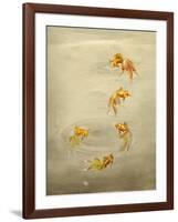 Glittering Goldfish-Peggy Harris-Framed Giclee Print