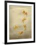Glittering Goldfish-Peggy Harris-Framed Giclee Print