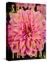 Glittery Flower I-Susan Bryant-Stretched Canvas