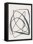Framed Canvas