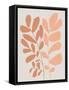 Framed Canvas