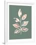 Gramercy White