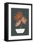 Framed Canvas