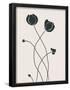 Essential Black
