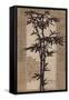 Global Bamboo-Bella Dos Santos-Framed Stretched Canvas