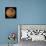 Global Color View of Mars-Stocktrek Images-Photographic Print displayed on a wall