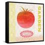 Global Garden Tomato-Bella Dos Santos-Framed Stretched Canvas