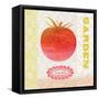 Global Garden Tomato-Bella Dos Santos-Framed Stretched Canvas