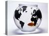 Global Goldfish-null-Stretched Canvas